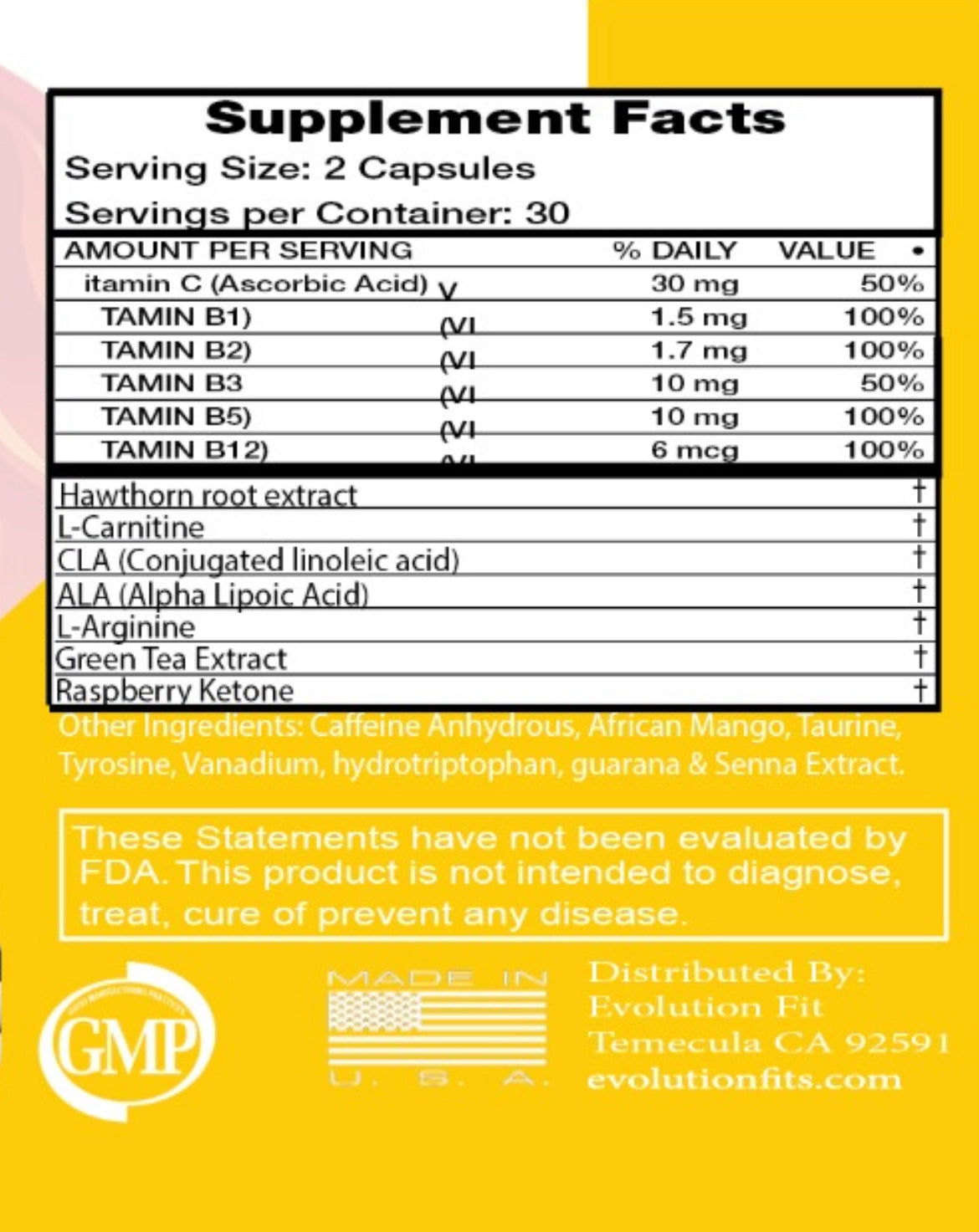 Fat Burner – Evolution Fit
