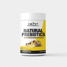  Natural Prebiotics - Evolution Fit